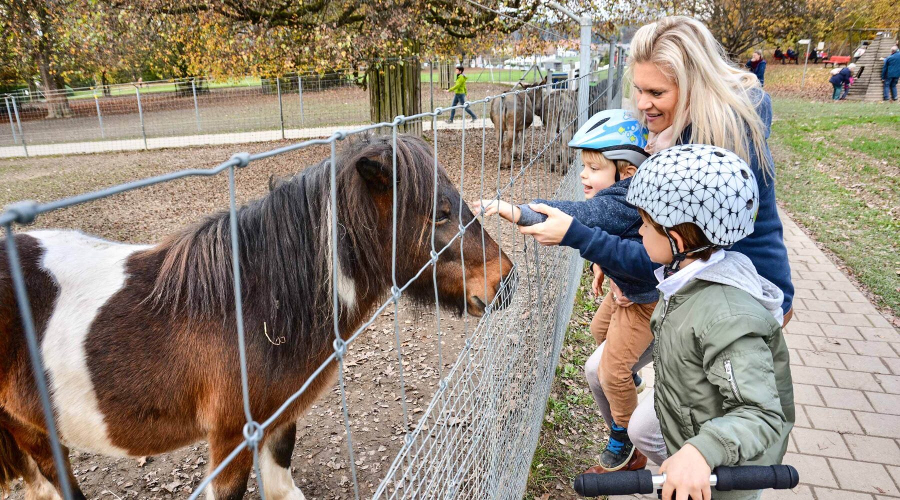 Tierpark Langenthal